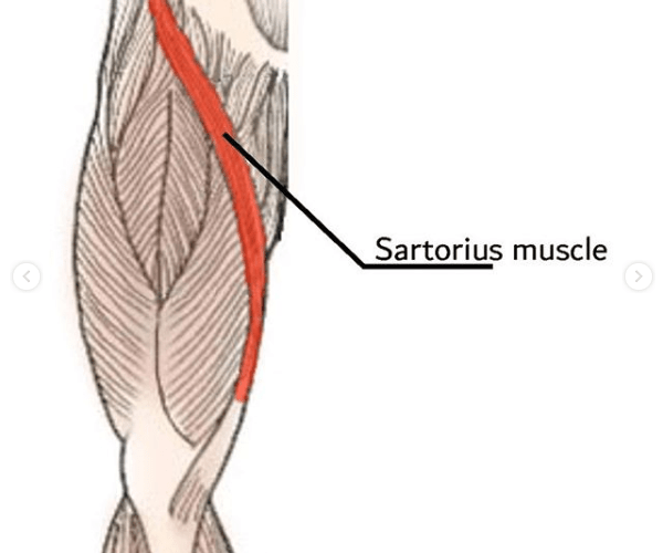 Massage for Knee&nbsp;Pain